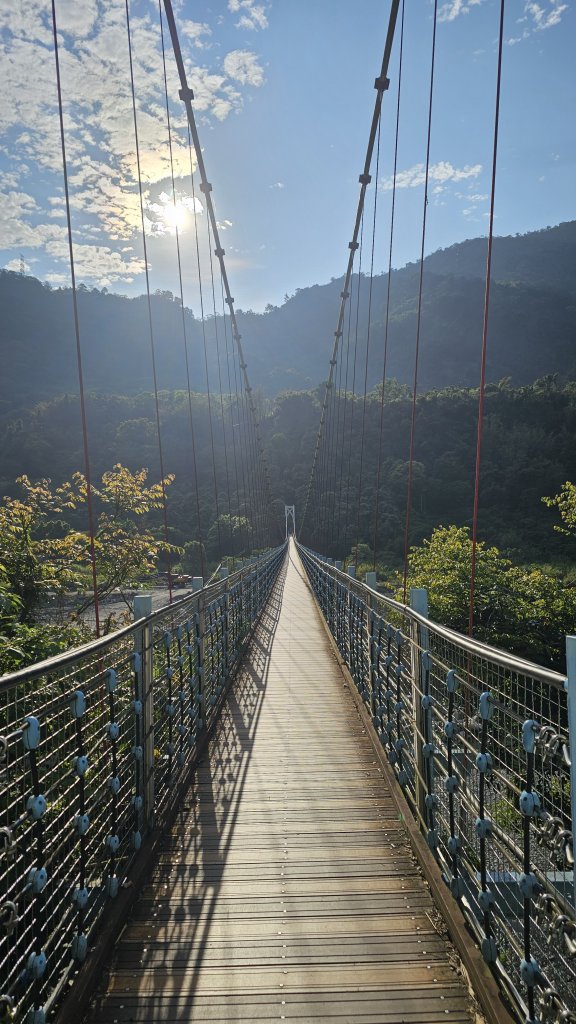 【美美兔走山趣】谷關抓雄-老六白毛_2749934