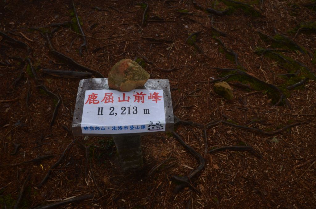 2018.01 水樣森林+鹿屈山+眠月神木_269542