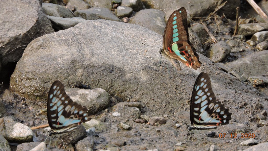 就是喜歡這個藍天白雲的FU_1032070