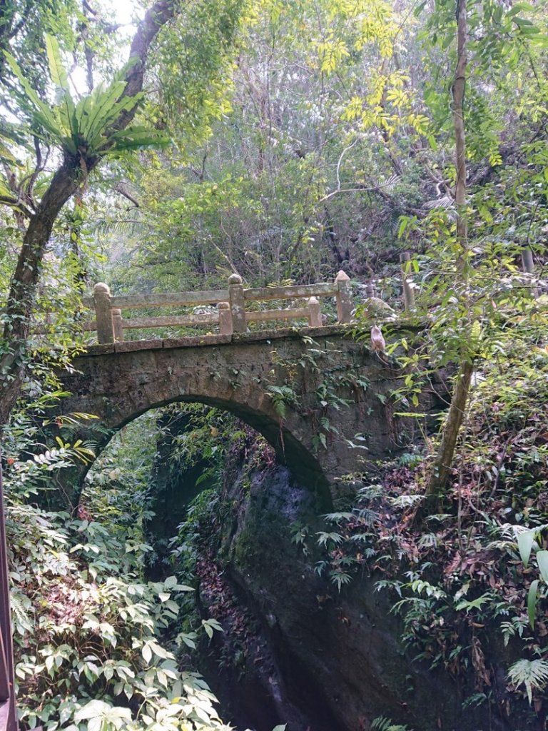 猿山、獅頭山O走封面圖