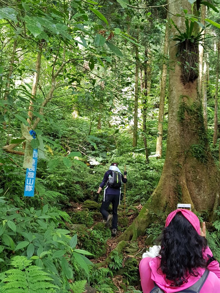 復興三尖之那結山_1423066