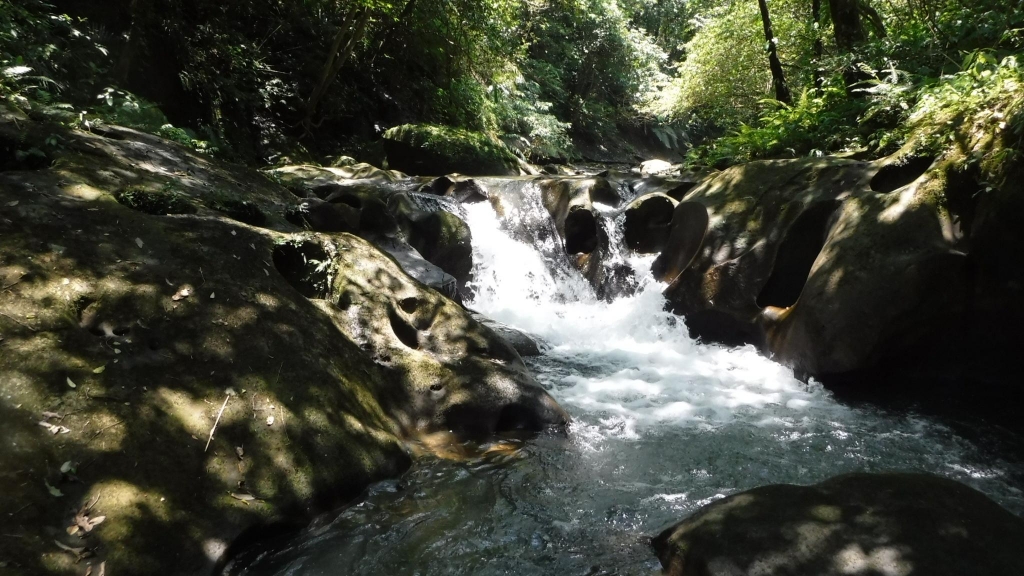 平溪線旁的山水秘境-灰窯溪溯溪_53485