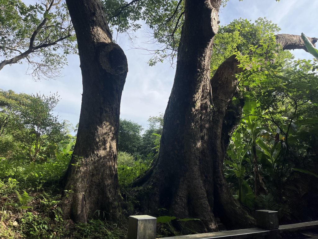 [皮皮獅探險隊-01/10] 2025_0706 六寮古道封面圖