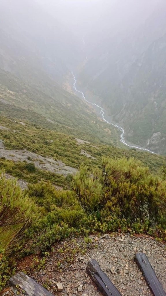 庫克山下輕健行～淒風苦雨篇_2543217