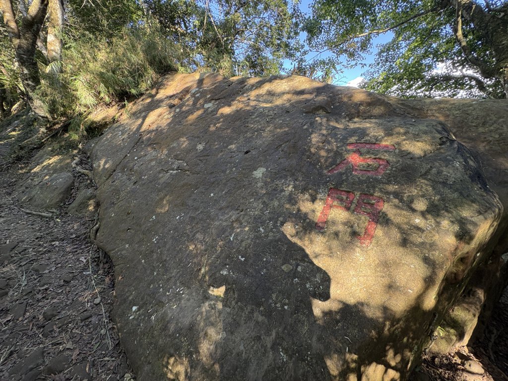 馬那邦山登山步道_2925136