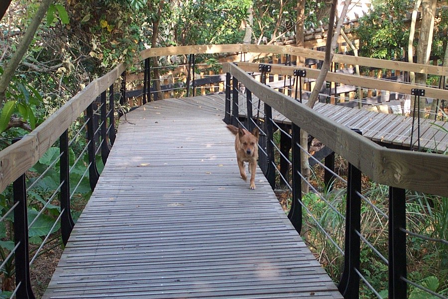 芝山岩知性之旅_563241