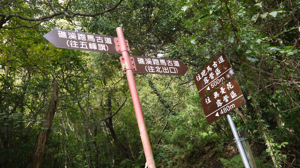 三訪跑馬古道登山健行趣（淡蘭南路TK3-10）_1517796