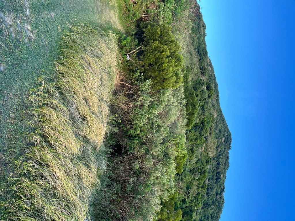 20251210_大山母山（屏東小百岳）_2968655