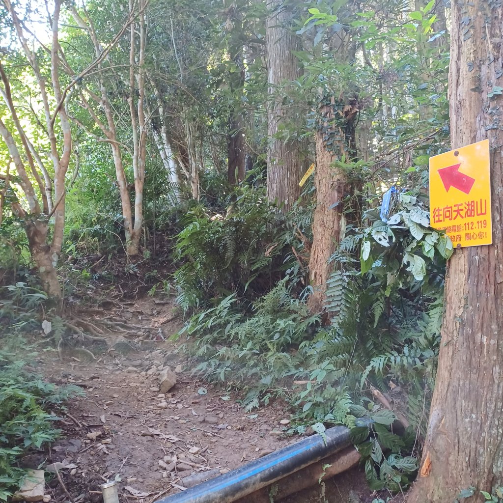 【苗栗南庄】向天湖山光天高山小O繞_2933147