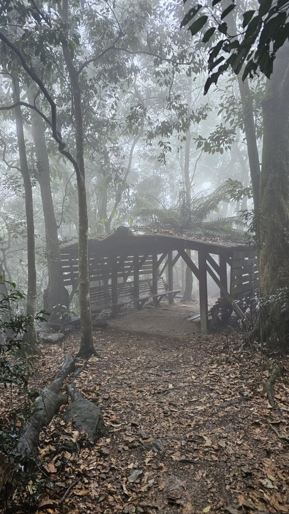 【撤退是智慧而非勇氣】17訪魔王小百岳-尾寮山。封面圖