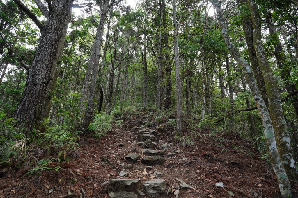 台中 和平 馬崙山_2796939