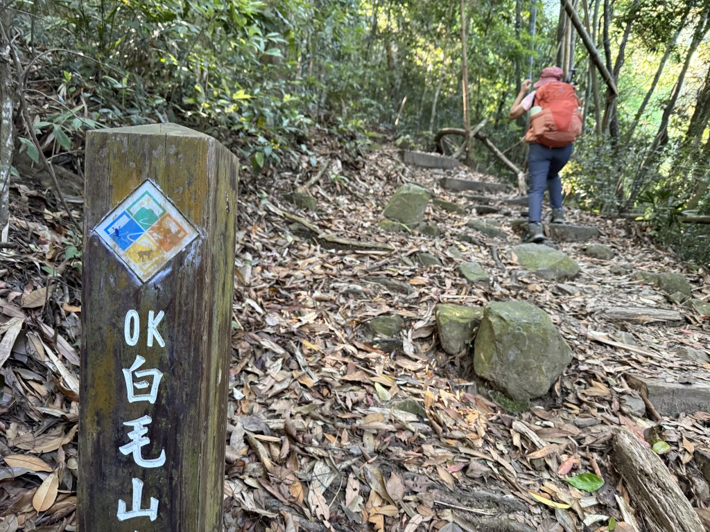 白毛山O繞+臭頭山 20250517_2791733