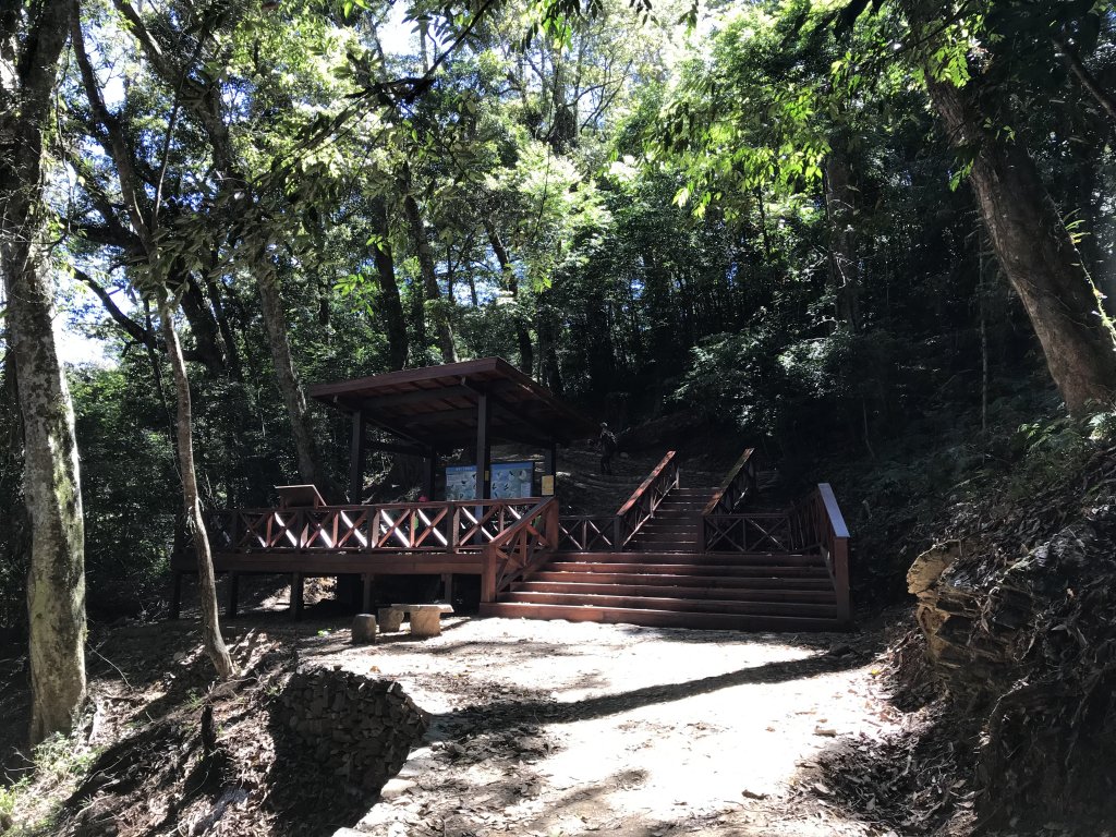 110年5月16日高雄   藤枝國家森林遊樂區_1456884