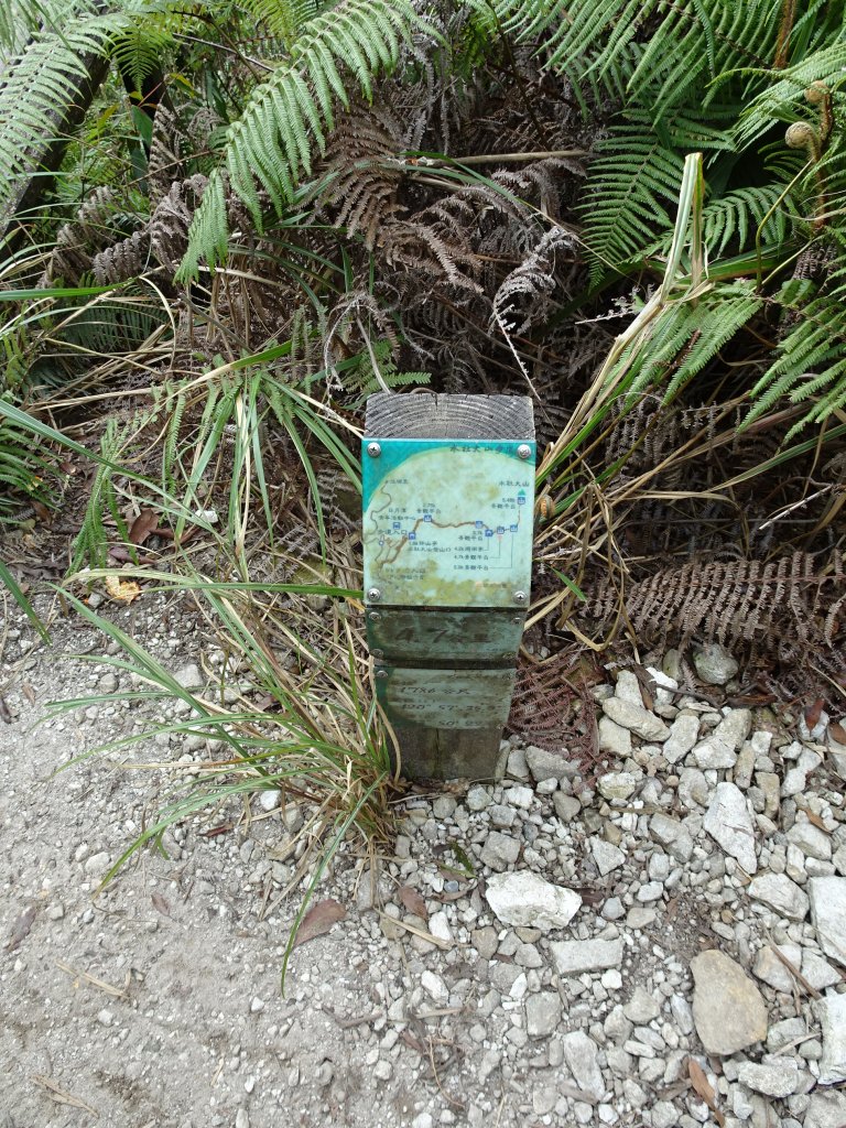 2022年02月13日(彰山協)南投日月潭四兄妹之中級山~大尖山縱走水社大山_1613472