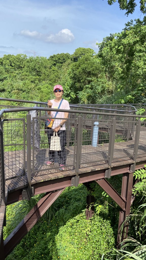 絕美天空步道在文山森林公園WENSHAN FOREST PARK_2237478