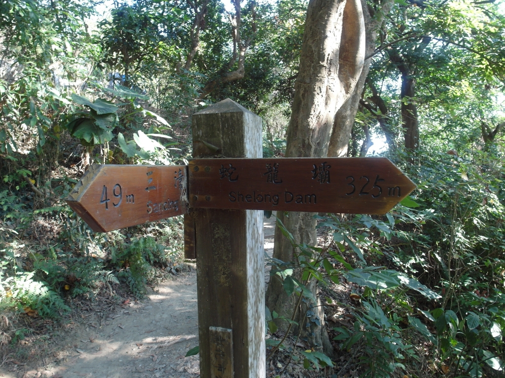 彰化桃源里步道~坑仔內山~八卦禪寺_92356