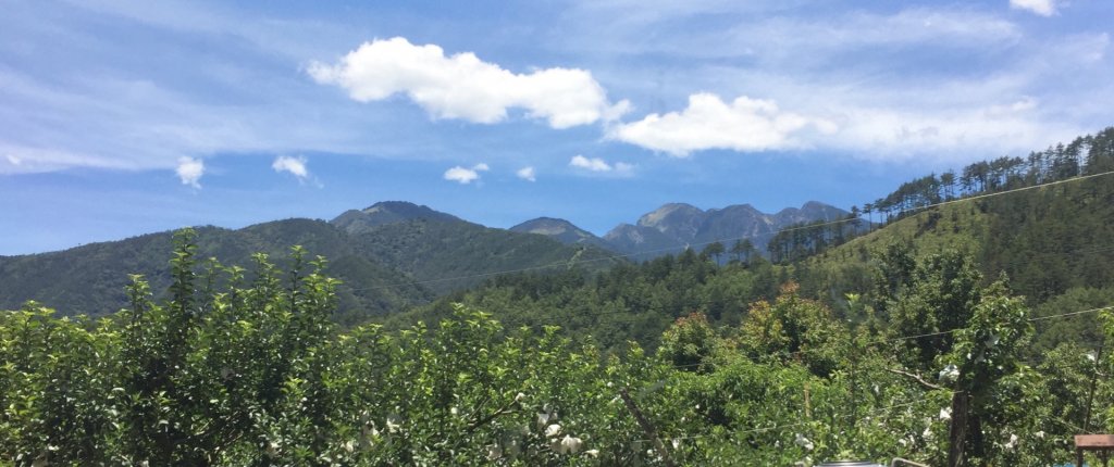 ㄧ日雪東封面圖