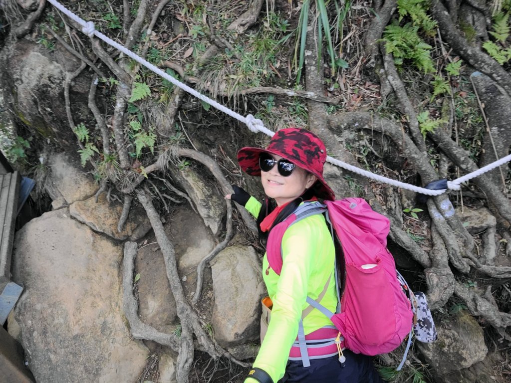 北得拉曼+內鳥嘴山賞山毛櫸_1898406