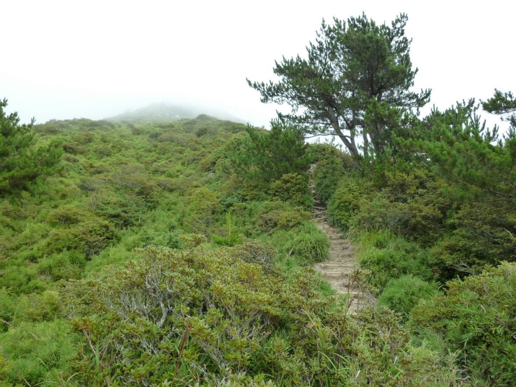 20160828_合歡北峰_873481