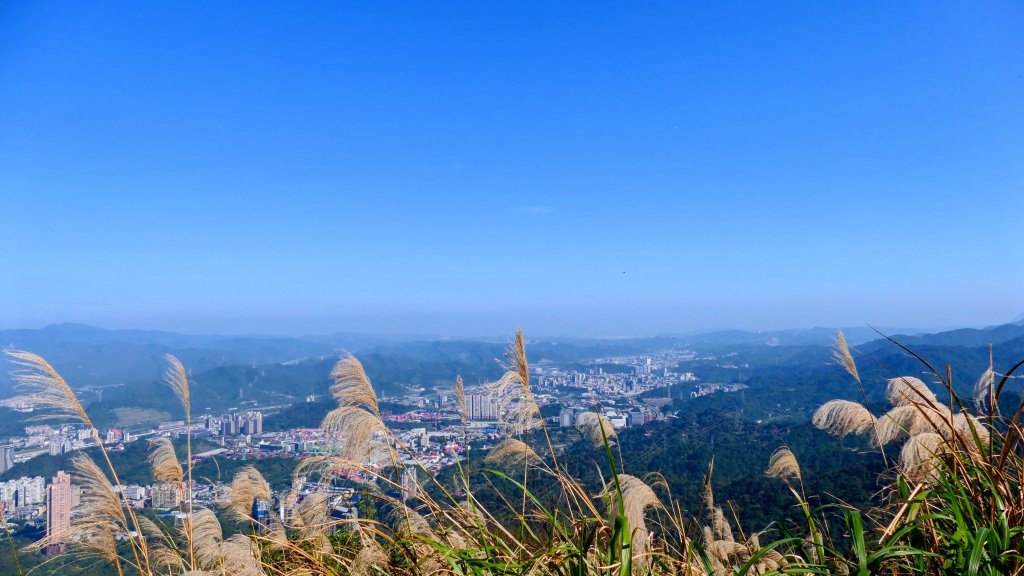 水返之城_2982935