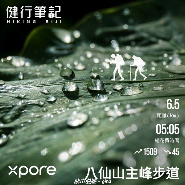 【台中和平】在虐腳的陡上中持續前進。 谷關七雄-八仙山主峰步道_2367749