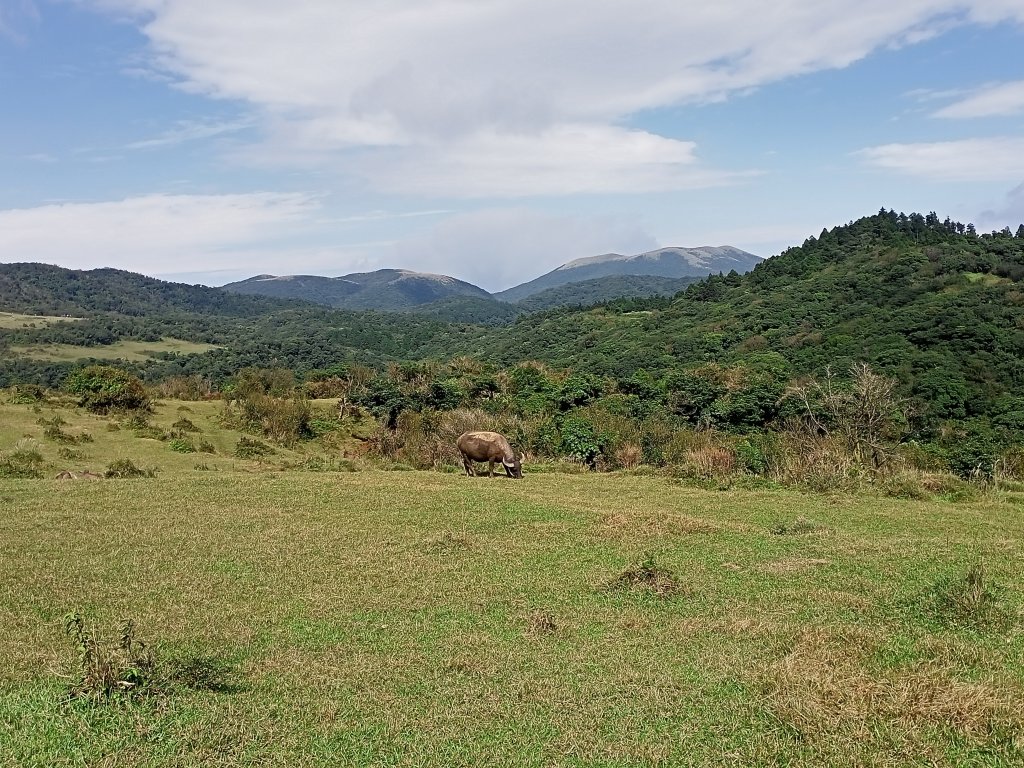 樂活遨遊坪頂古圳步道→荷蘭古道→高頂山→北五指山→頂山→風櫃嘴→天溪園→聖人橋_1509471