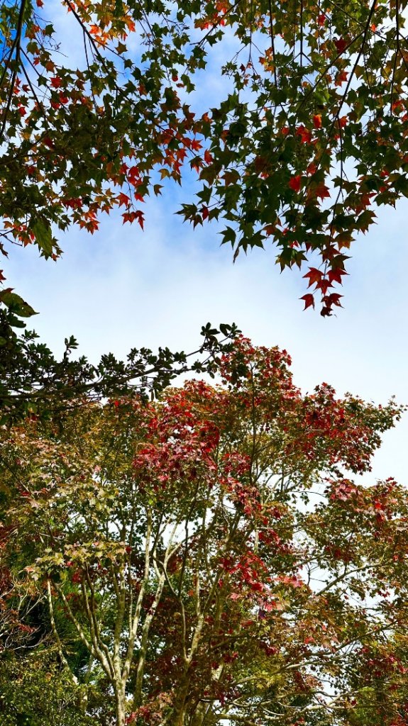 馬那邦山O走_2370070