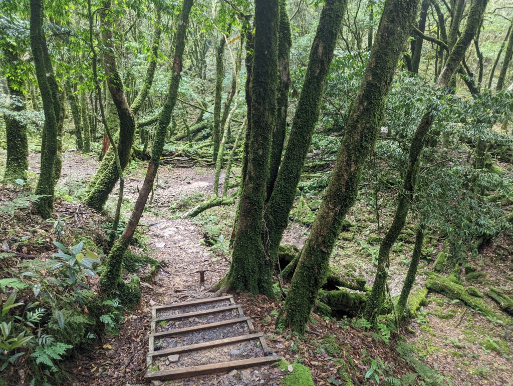 谷關七雄：八仙山_1744127