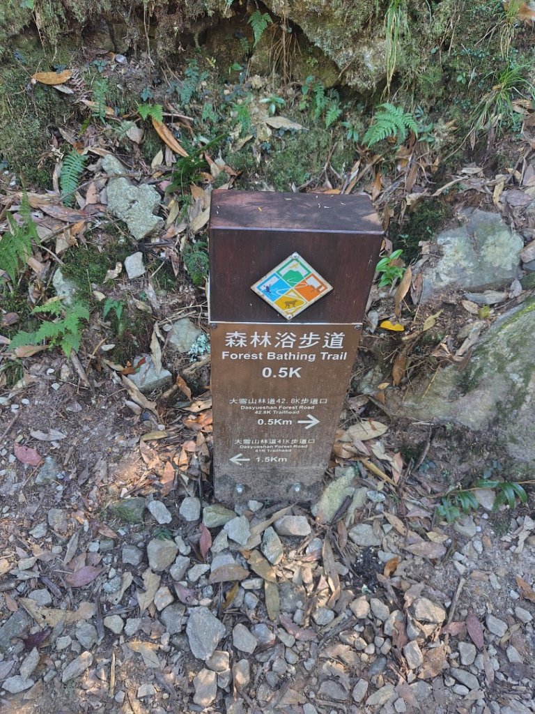 大雪山森林遊樂區 遊客中心 小神木 北三錐山 平石山西北峰_2952920