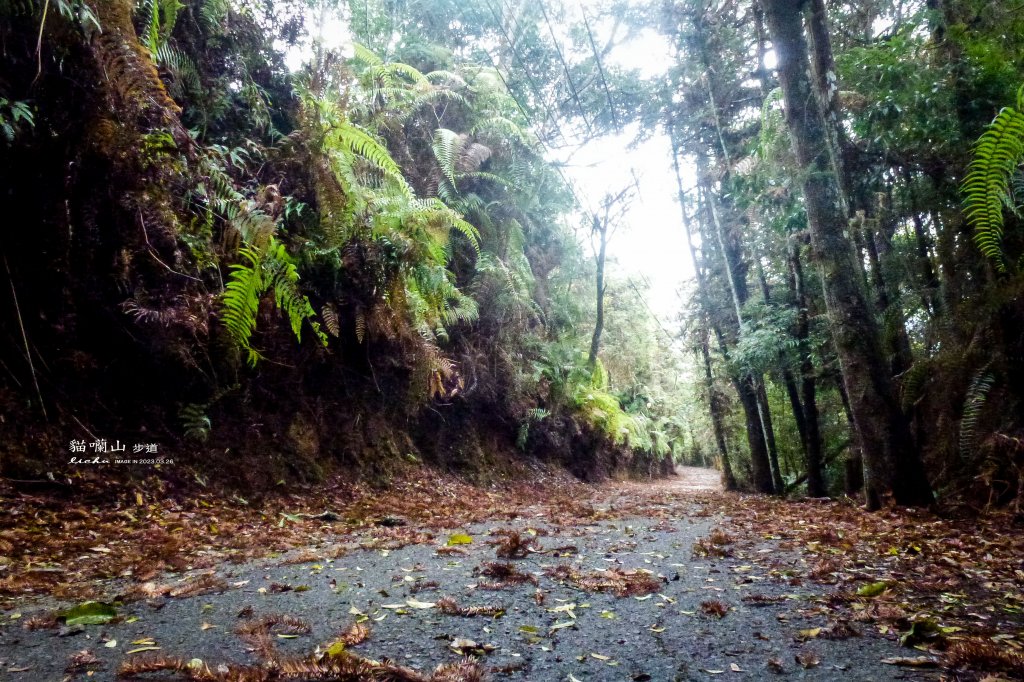 南投縣魚池鄉~貓囒山_2143547