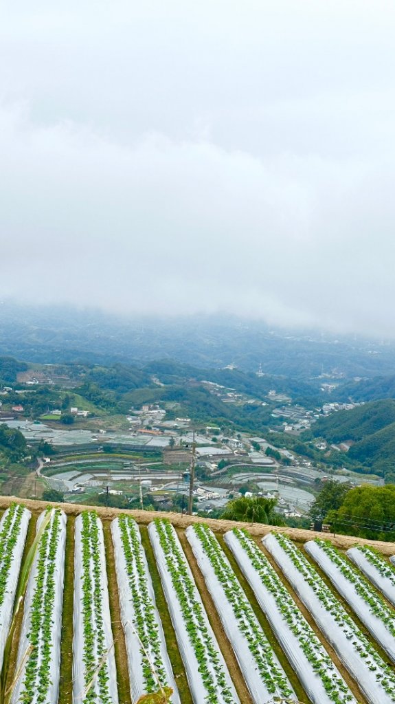 馬那邦山O走_2370076