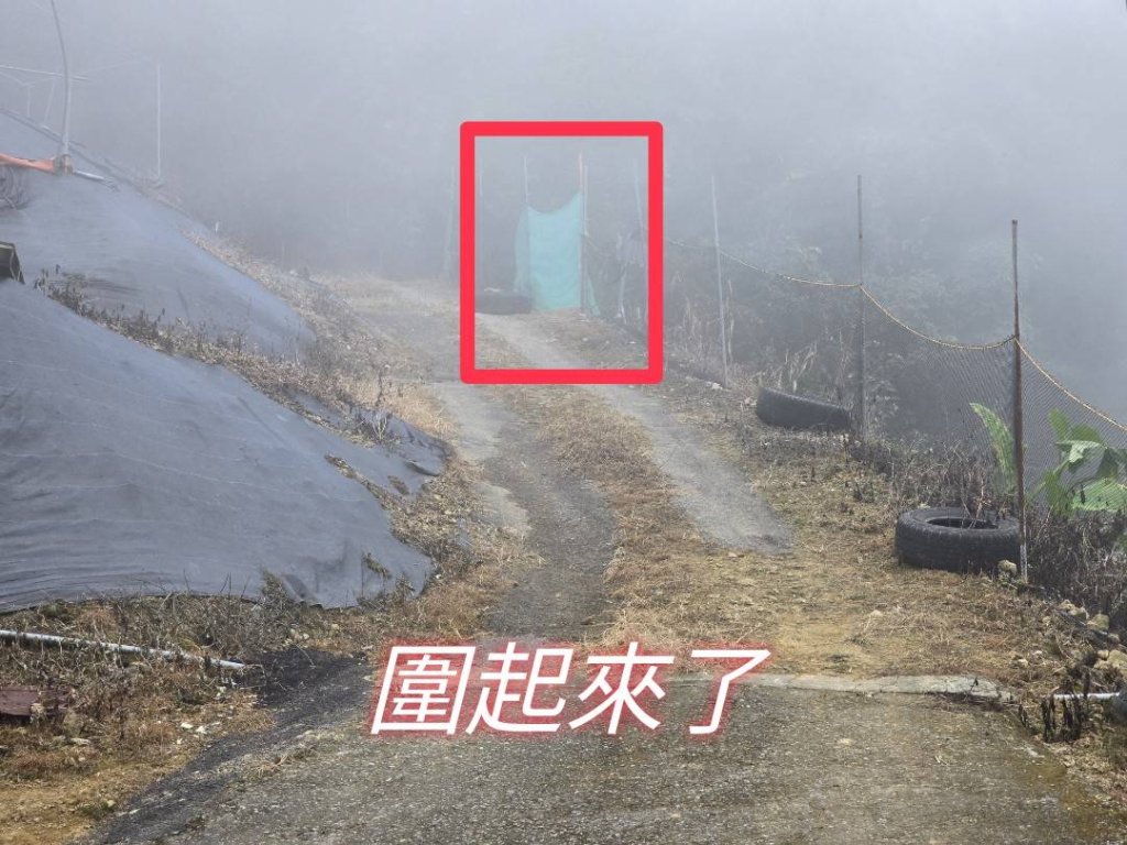 馬那邦山之雲海／雲瀑／楓紅／太陽琉璃光_2668330