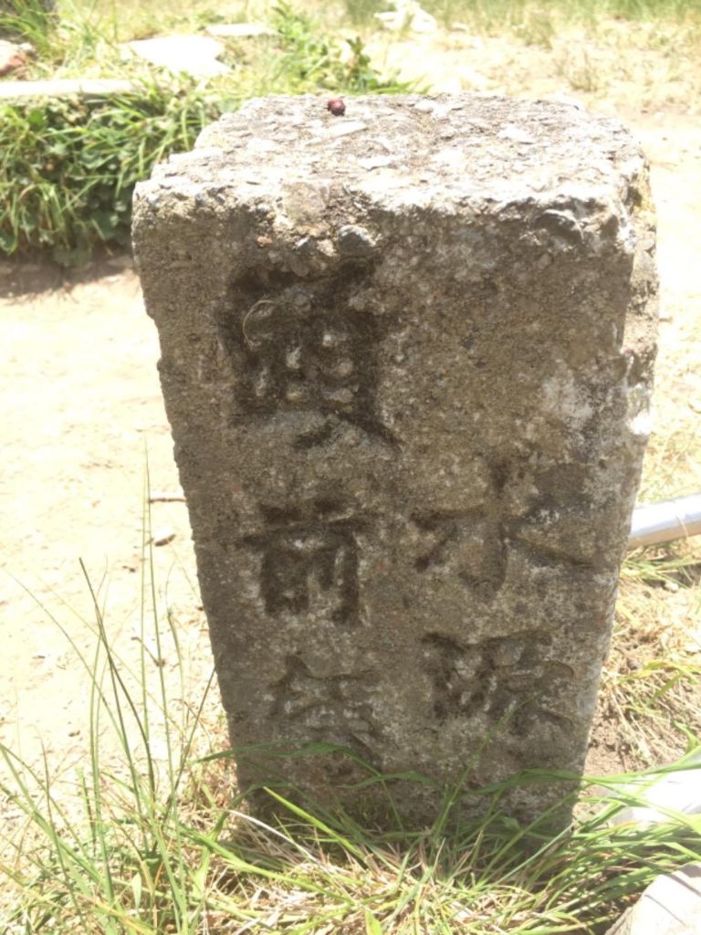 李崠山連走大混山很棒的林道_341162