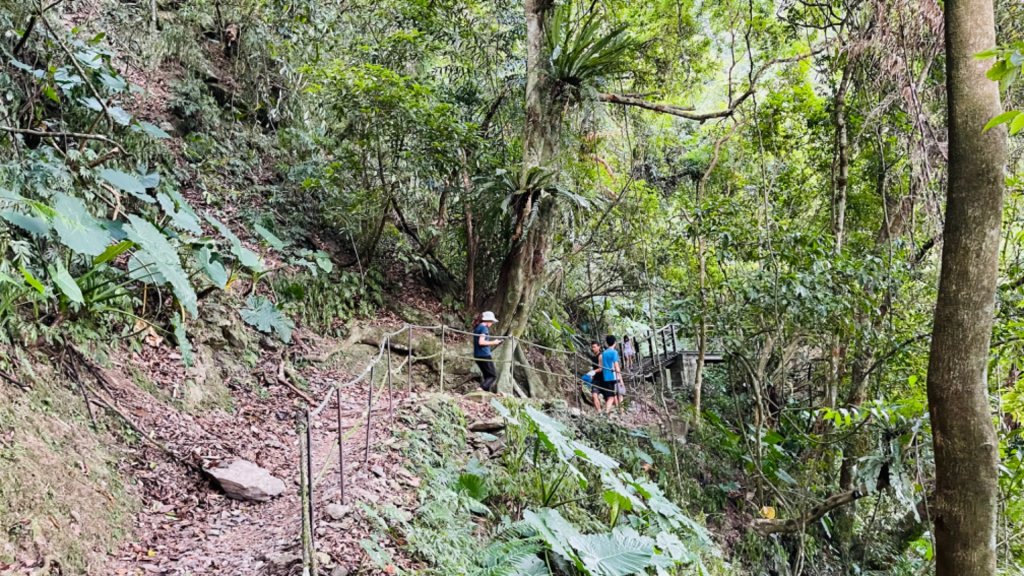 1101009內洞森林遊樂區_1484813