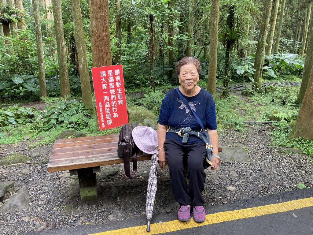 溪頭走出一片葉子_1156477