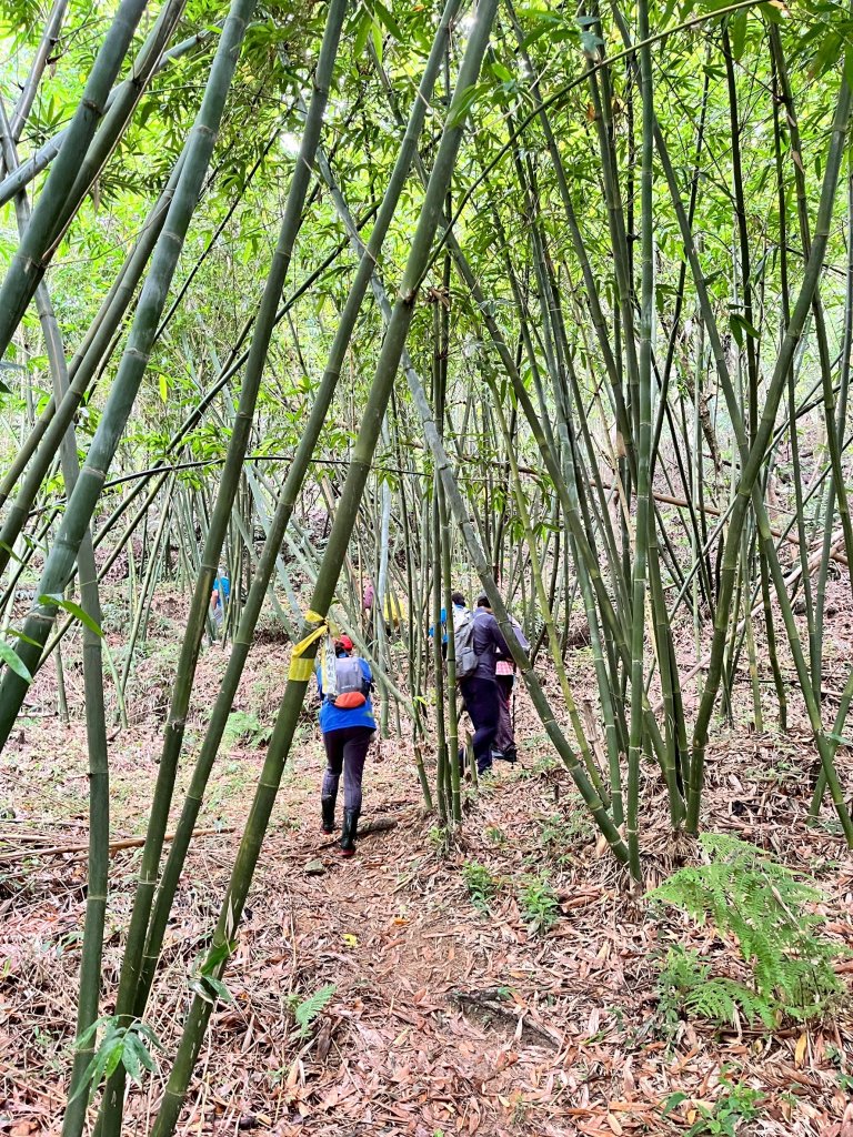 小金面山→西湖山→論劍山→剪刀石山→金面山步道_2796805