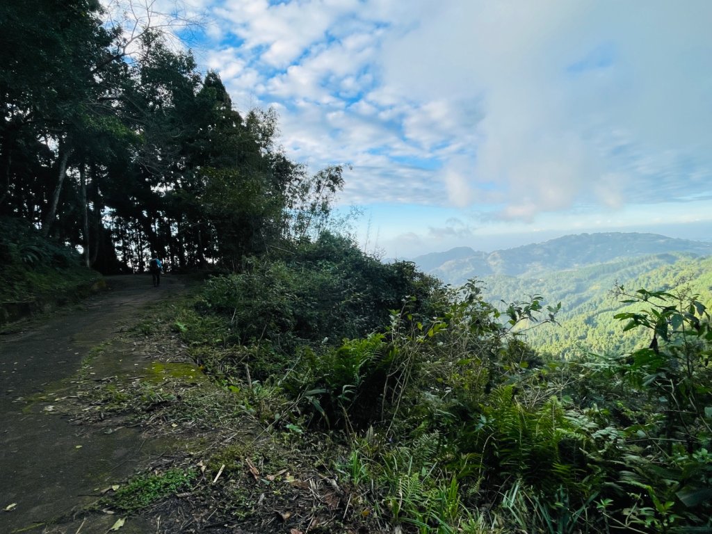 1141116油羅山_2946467