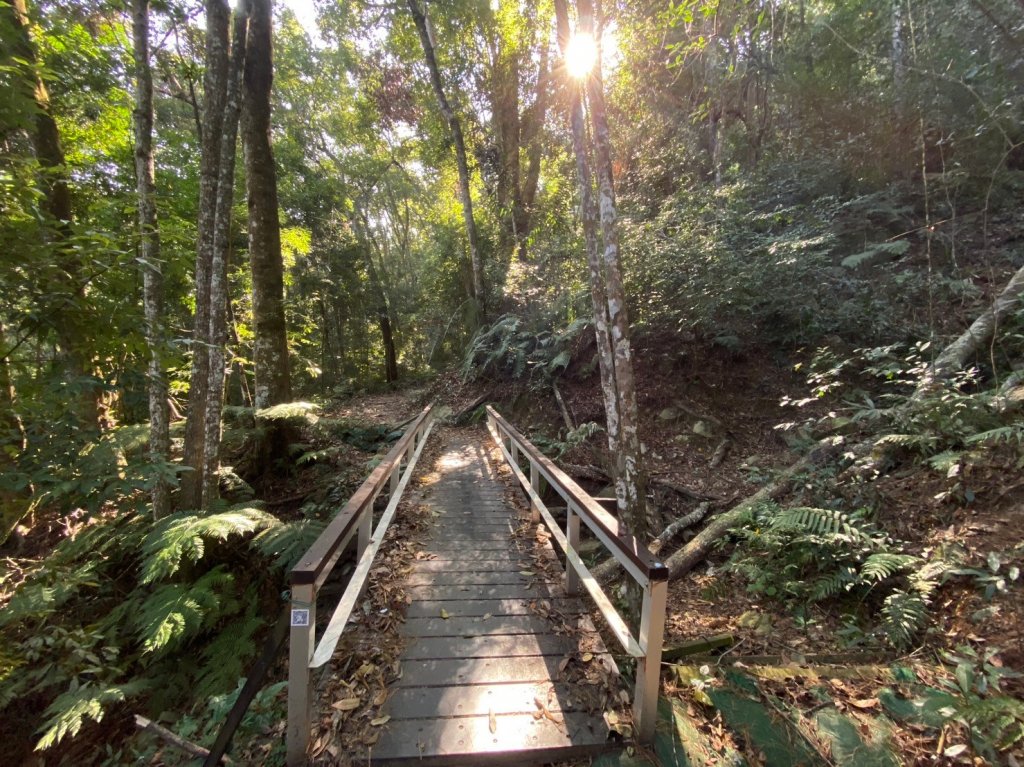唐麻丹山-松鶴上三角點O型回松鶴_2378361