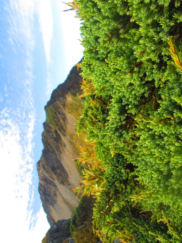 北一段 南湖前四峰_378513