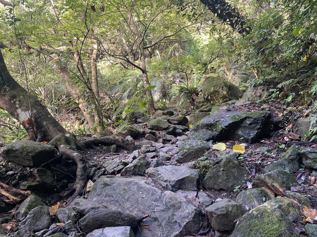 2021.11.30錐麓古道_1541283