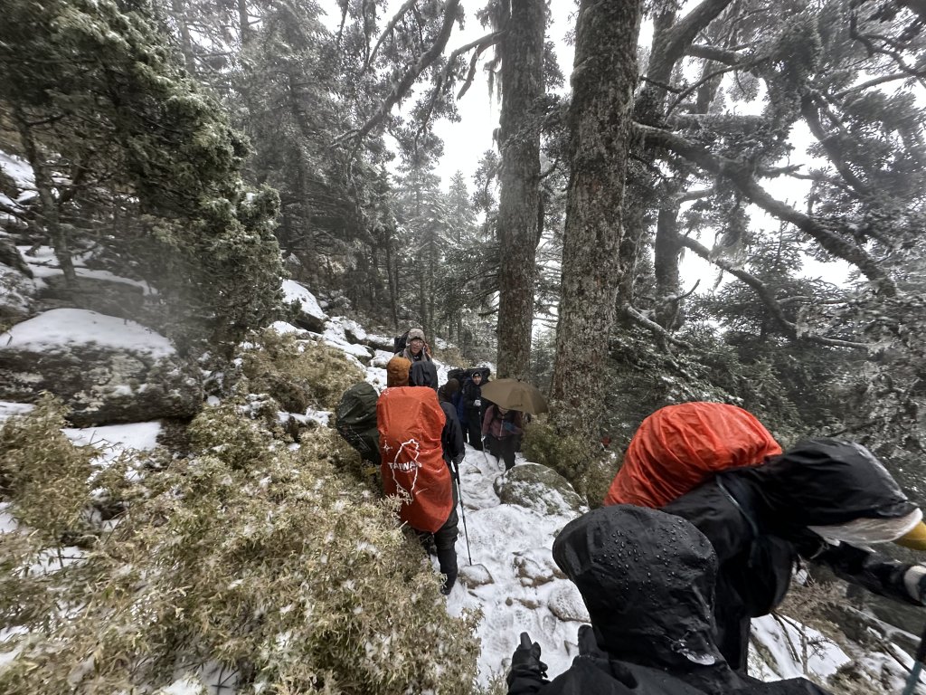 南二段撤退行_2743016