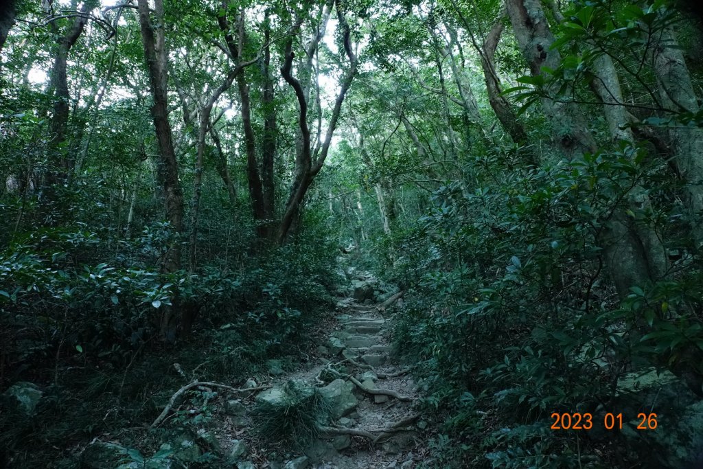 屏東 獅子鄉 里龍山(里隆山、里瀧山、鯉龍山)、下里龍山_2018520