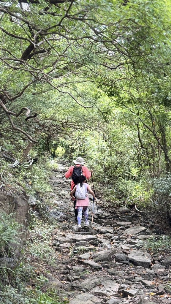 20250811未竟之小百岳里龍山封面圖