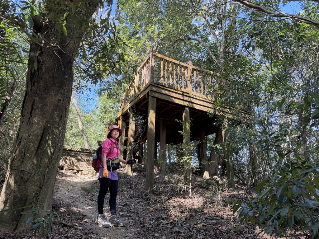 鳴鳳山-錫隘古道大O繞-20260125_2991437