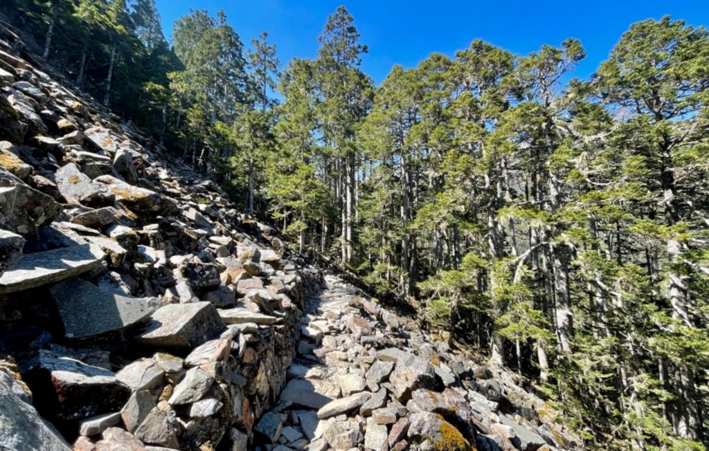 雪劍閃耀_1320028