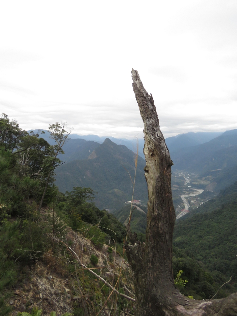 白毛山封面圖