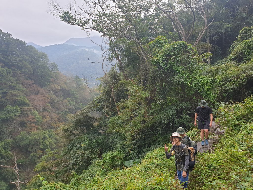 麗陽上屋我尾山_2683109
