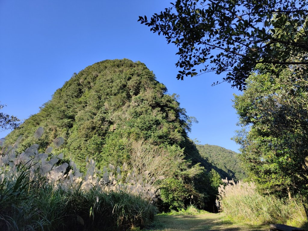 2023.12.08 新店獅仔頭山_2678357