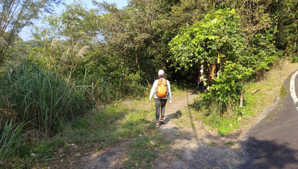 (姨婆趴趴走)第四十八集:新北草嶺古道（福隆車站-大里車站）_2747625