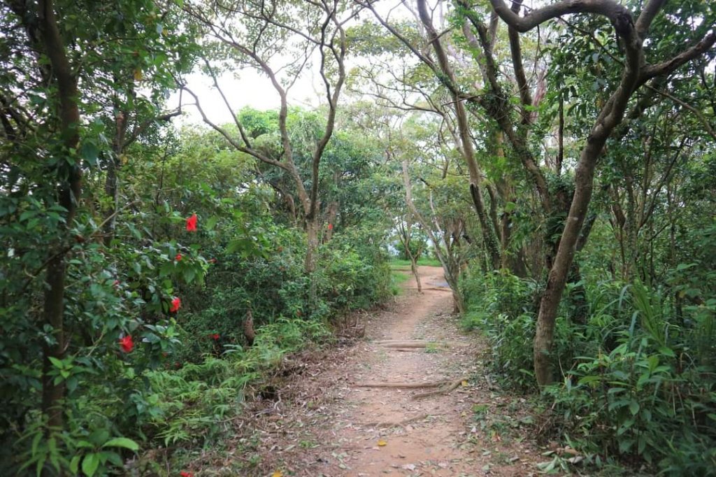 〔內湖〕文間山，劍南蝶園，劍潭古寺，婆婆橋 鄭成功廟步道_2249290